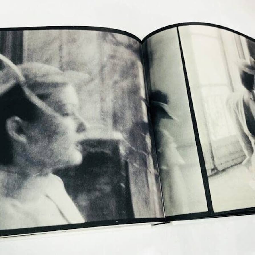 Deborah Turbeville: Wallflowerデボラ・ターバヴィル WALLFLOWER by Deborah Turbevilleデボラ・ターバヴィル - 古本